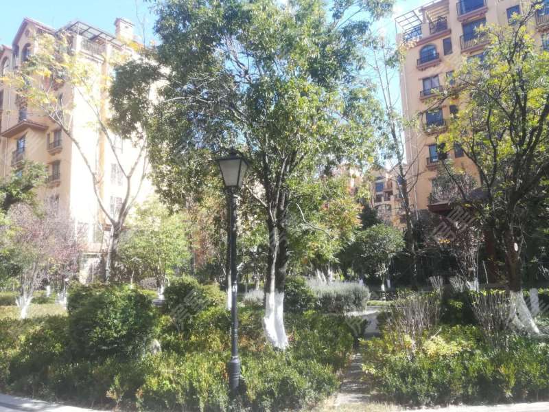 3室2廳1陽臺(tái) 平和花園其他