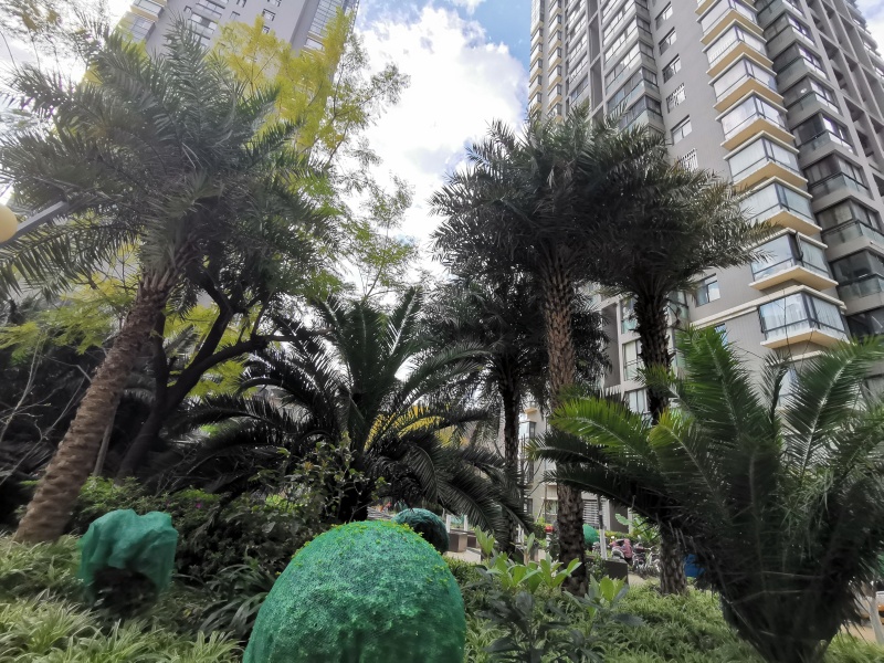 1室1廳2陽臺 上東城其他