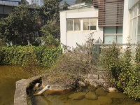 5室3廳3陽臺 世博生態(tài)城博園鄰里別墅自家花園