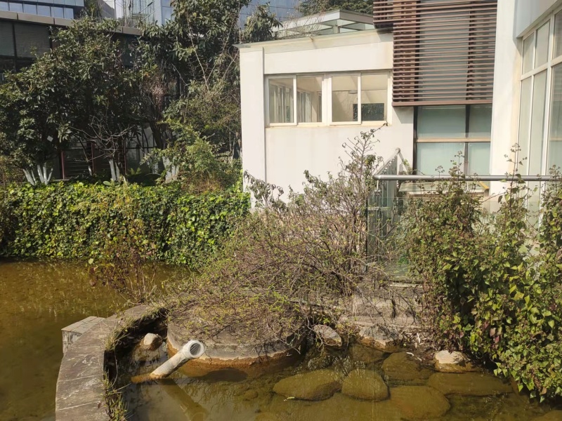 5室3廳3陽臺 世博生態(tài)城博園鄰里別墅自家花園