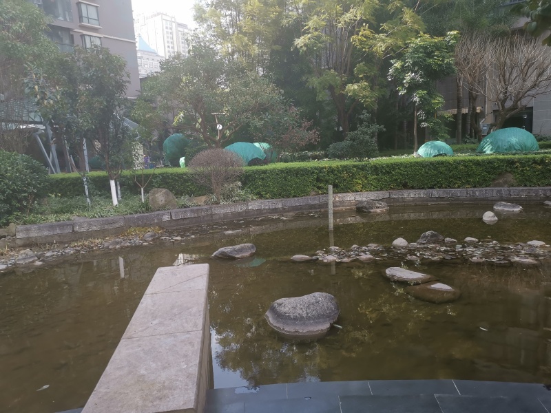 1室1廳2陽臺 上東城其他