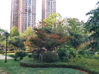 3室2廳 紅星國(guó)際紫郡