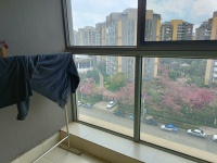 2室2廳1陽臺 銀海櫻花語幸福里客廳