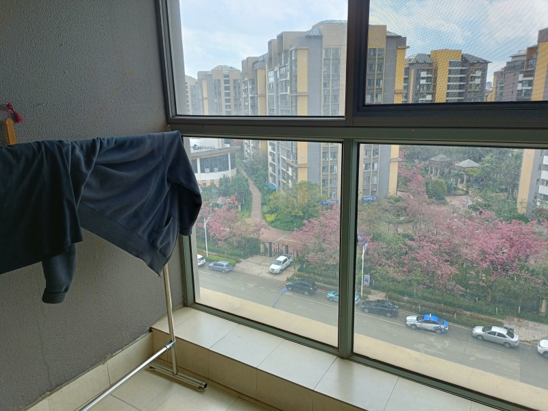 2室2廳1陽臺 銀海櫻花語幸福里客廳