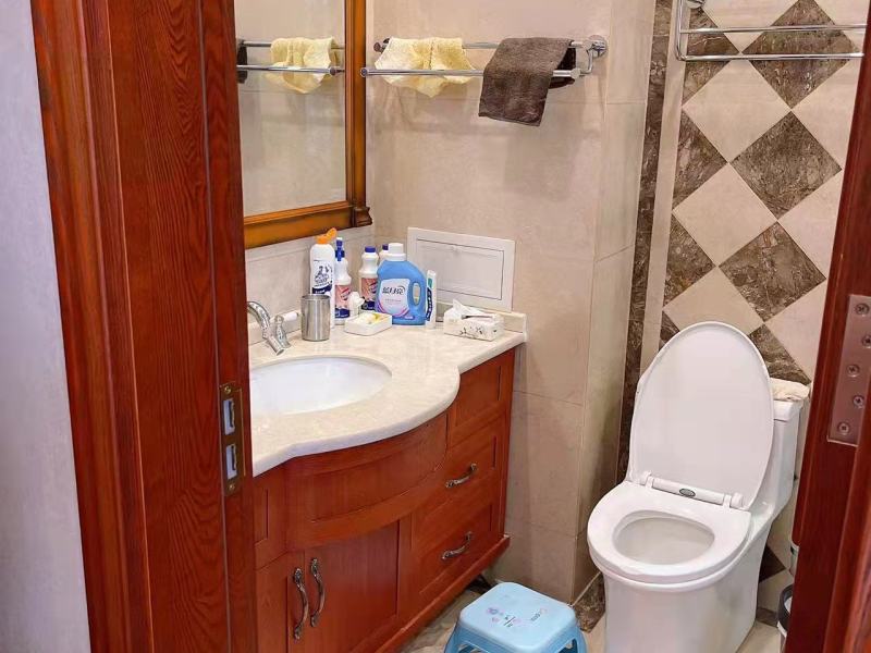 5室2廳3陽臺 招商海公館別墅衛(wèi)生間