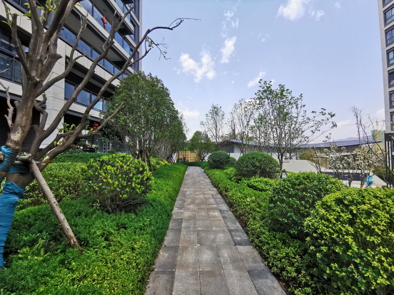 3室2廳2陽臺 陽光城文瀾公館T003地塊自家花園