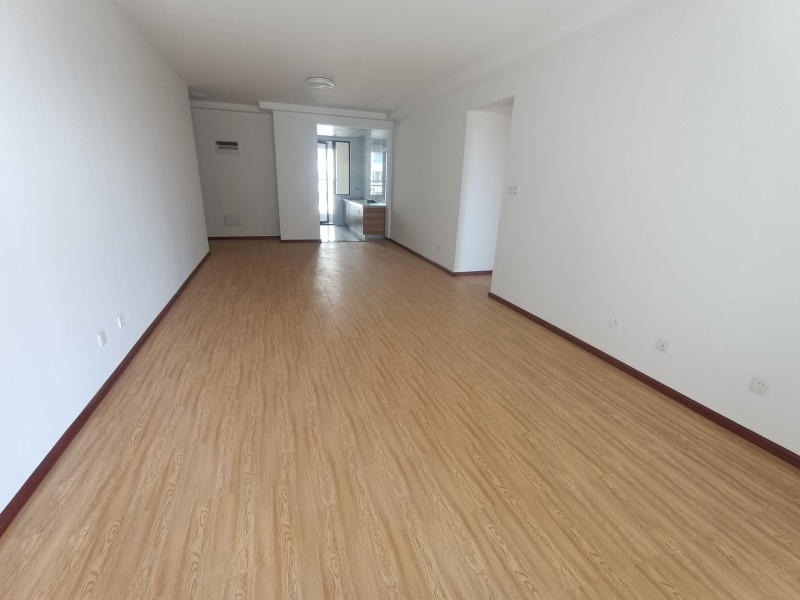 4室2廳 紅星天鉑客廳