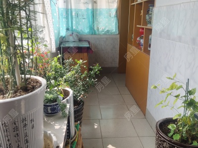 3室2廳1陽(yáng)臺(tái) 財(cái)政廳宿舍(華山東路后門1號(hào))