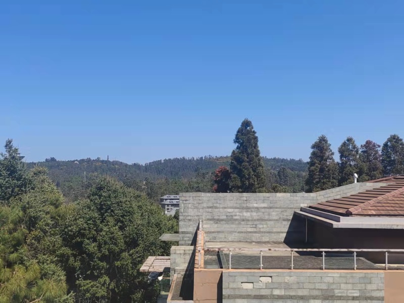 5室2廳1陽臺(tái) 世博生態(tài)城云嶺鄰里別墅自家花園