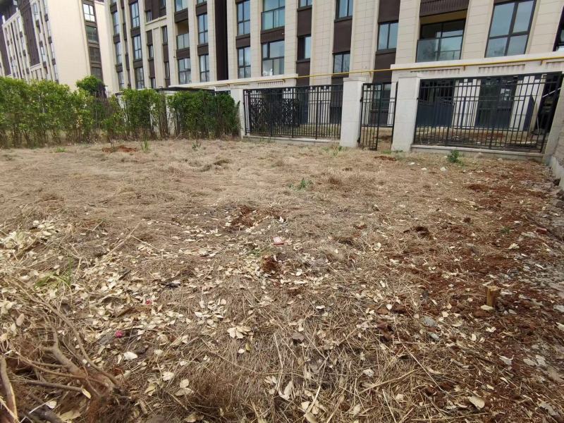 4室2廳3陽臺 海東俊園一期自家花園