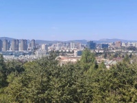 5室2廳1陽臺(tái) 世博生態(tài)城云嶺鄰里別墅其他