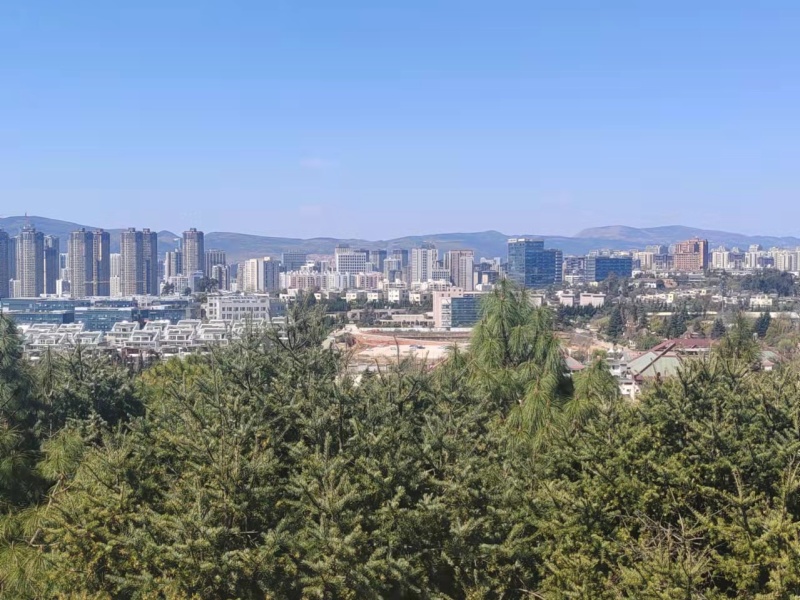 5室2廳1陽臺(tái) 世博生態(tài)城云嶺鄰里別墅其他