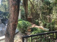 5室2廳1陽臺(tái) 世博生態(tài)城云嶺鄰里別墅自家花園