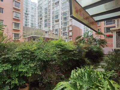 3室2廳2陽臺 云南映象B區(qū)