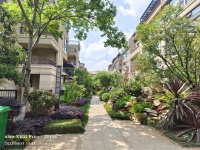 8室3廳3陽(yáng)臺(tái) 綠地海珀瀾庭別墅其他