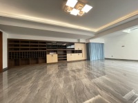 5室5廳5陽臺 滇池ONE 6號地塊別墅其他