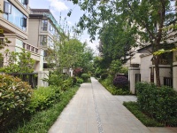 8室3廳3陽(yáng)臺(tái) 綠地海珀瀾庭別墅其他