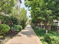 8室3廳3陽(yáng)臺(tái) 綠地海珀瀾庭別墅其他