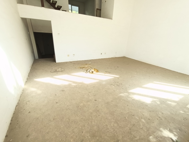 5室2廳5陽(yáng)臺(tái) 盛世豪庭四期別墅客廳