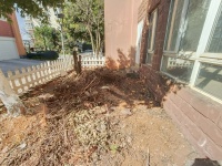 5室2廳5陽(yáng)臺(tái) 盛世豪庭四期別墅客廳