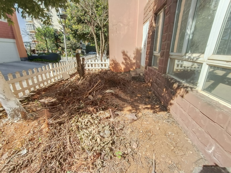 5室2廳5陽(yáng)臺(tái) 盛世豪庭四期別墅客廳