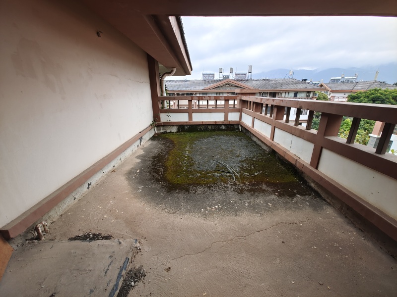 5室2廳3陽臺 香水和風別墅其他