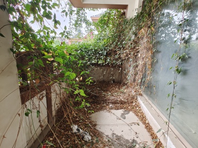 5室2廳3陽臺 香水和風別墅其他