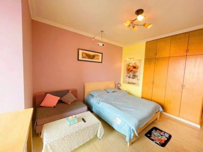 1室1廳1陽臺(tái) 城市領(lǐng)地