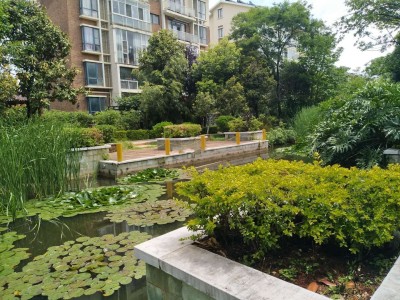 4室2廳3陽臺 滇池衛(wèi)城鹿港A區(qū)