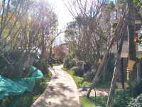 5室3廳4陽臺 滇池ONE7號地塊劍橋公館別墅其他