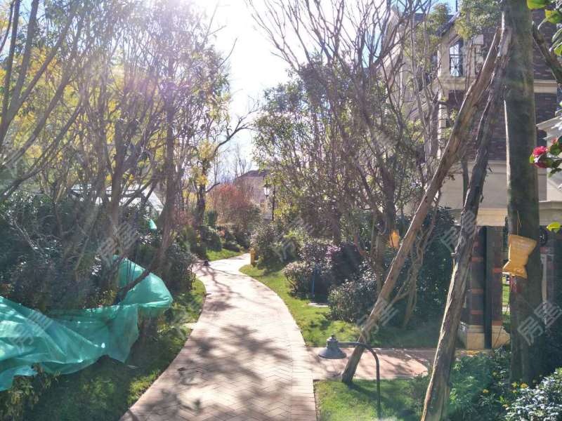 5室3廳4陽臺 滇池ONE7號地塊劍橋公館別墅其他