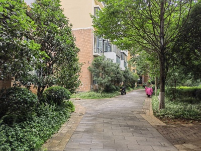 4室2廳2陽臺(tái) 金岸春天