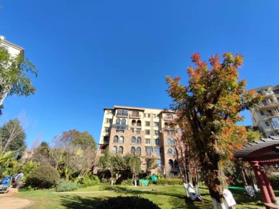 5室3廳4陽臺(tái) 公園1903圣維望別墅其他