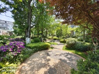 5室2廳 同德極少墅別墅其他