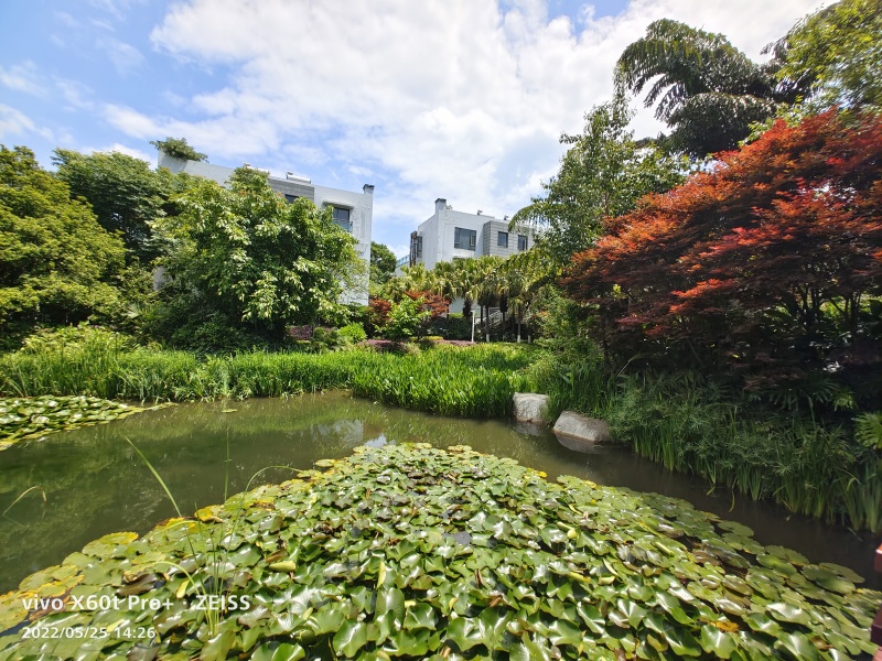 5室2廳 同德極少墅別墅其他