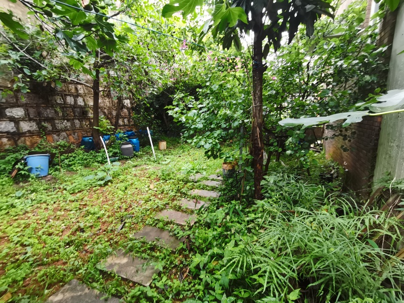 6室2廳3陽臺 清水木華別墅戶型圖