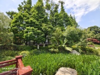 5室2廳 同德極少墅別墅其他