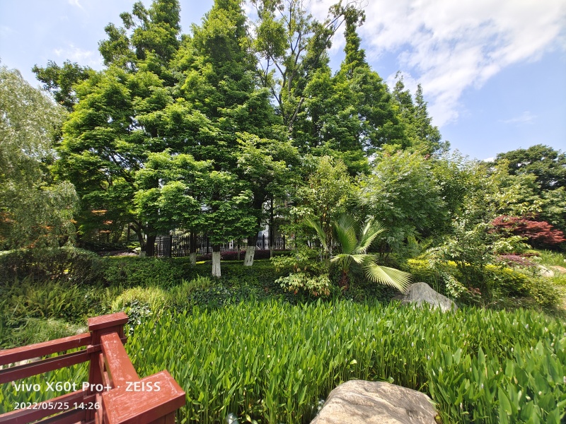 5室2廳 同德極少墅別墅其他