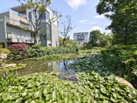 5室2廳 同德極少墅別墅其他