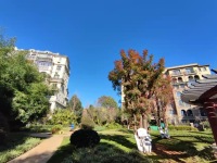 5室3廳4陽臺(tái) 公園1903圣維望別墅其他