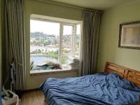 3室2廳 陽光果香客廳