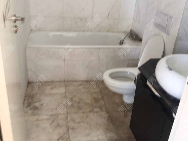 8室4廳2陽臺 世博生態(tài)城藝術(shù)之家別墅衛(wèi)生間