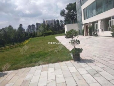 8室4廳2陽臺 世博生態(tài)城藝術(shù)之家別墅自家花園