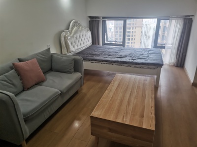 1室1廳1陽臺 萬彩城四期