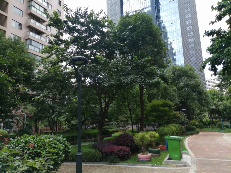 2室1廳1陽臺(tái) 潤(rùn)城四區(qū)其他