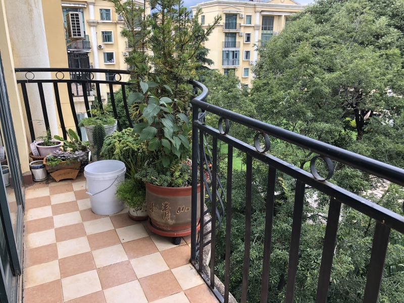 6室3廳3陽(yáng)臺(tái) 世界花苑客廳