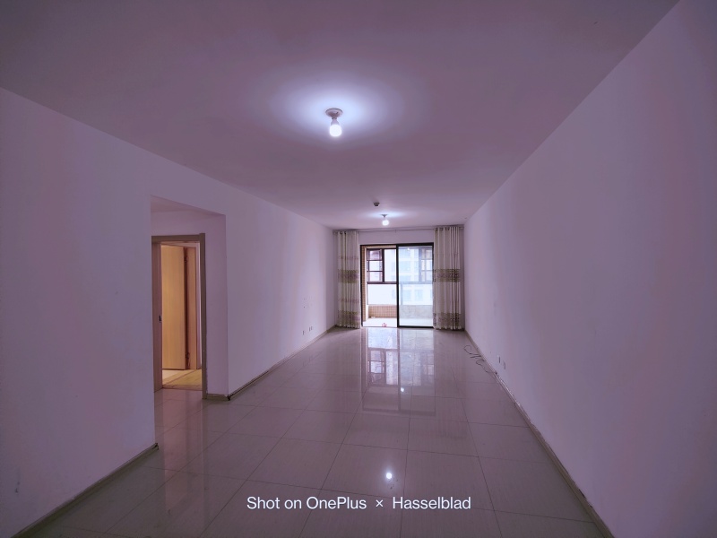 2室2廳1陽臺 俊發(fā)盛唐城星河郡(一期)客廳