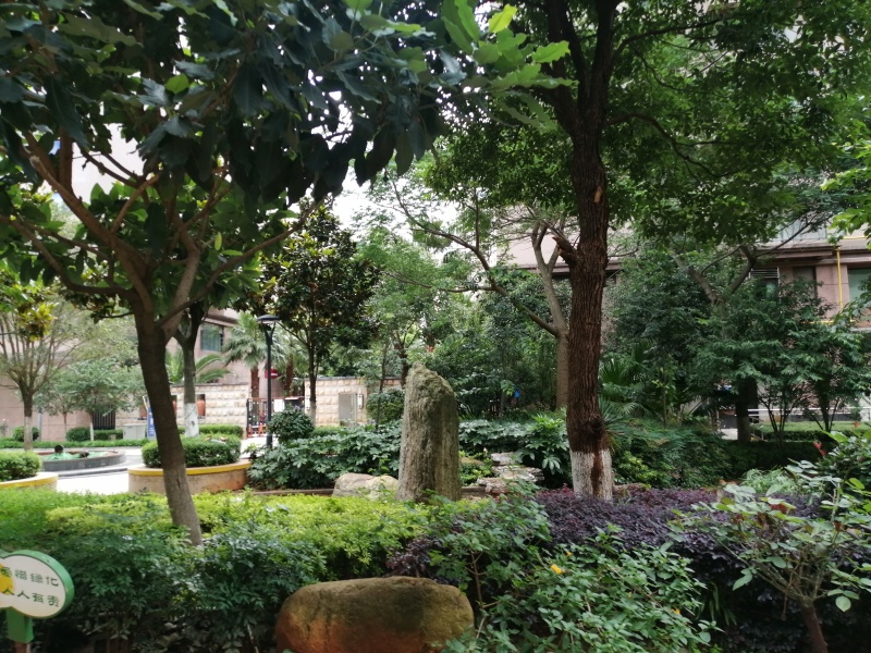 2室1廳1陽臺(tái) 潤(rùn)城四區(qū)其他