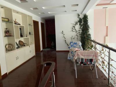 6室3廳2陽臺 金水灣客廳