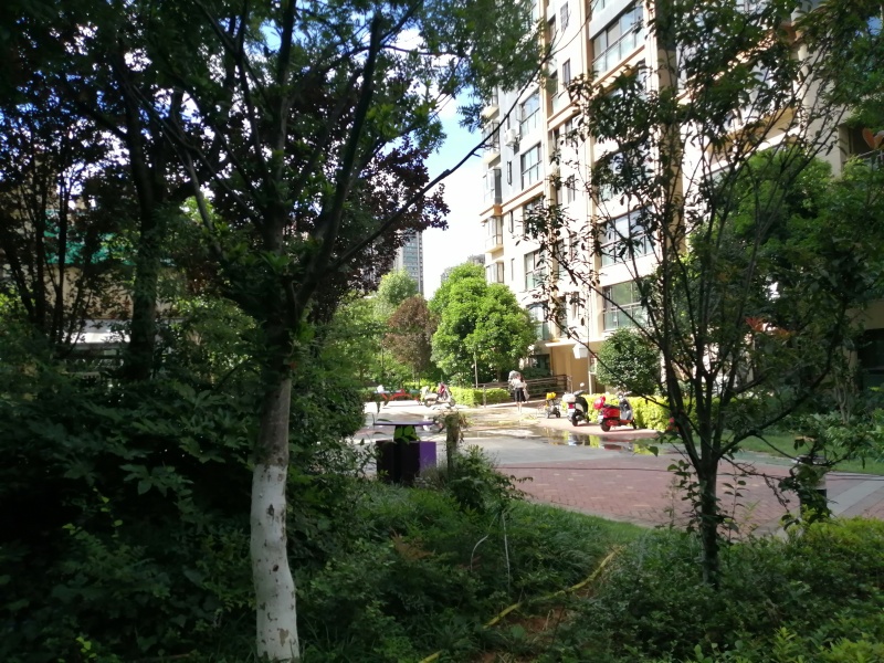 2室1廳1陽臺(tái) 潤(rùn)城四區(qū)其他